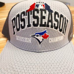 2015 Toronto Blue Jays - Division Champions Postseason Snapback Hat